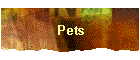 Pets