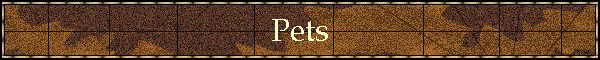 Pets