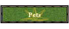 Pets