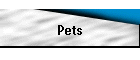 Pets