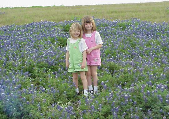 bluebonnet1.jpg (62843 bytes)